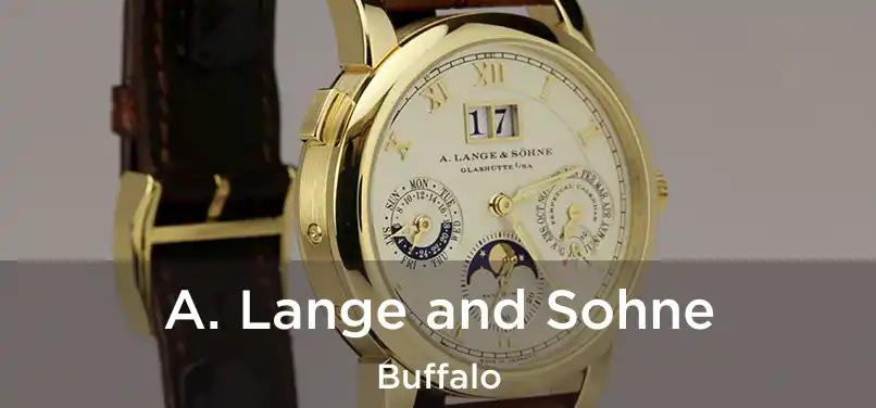 A. Lange and Sohne Buffalo