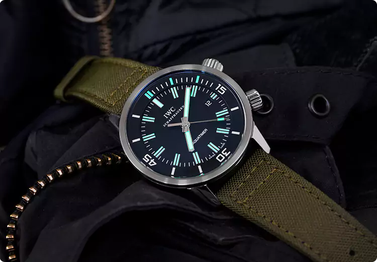 Professional Watch Appraisal in Buffalo, NY