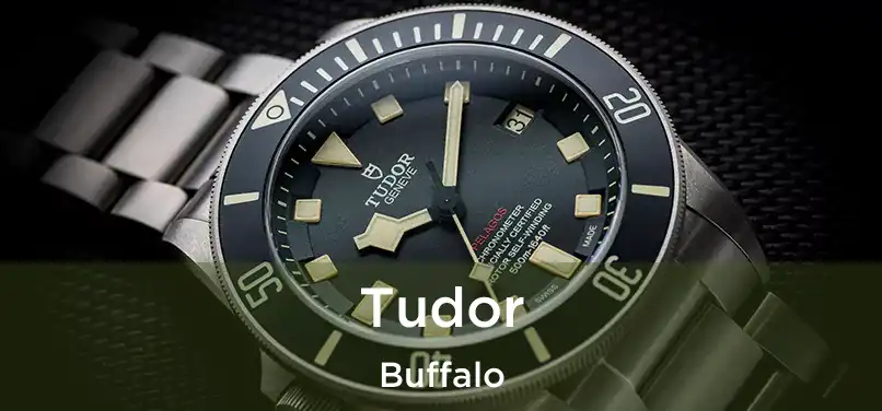 Tudor Buffalo